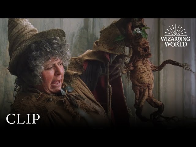 Mandrake Potting | Harry Potter and the Chamber of Secrets