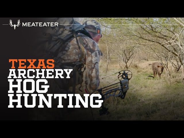 Texas Archery Hog