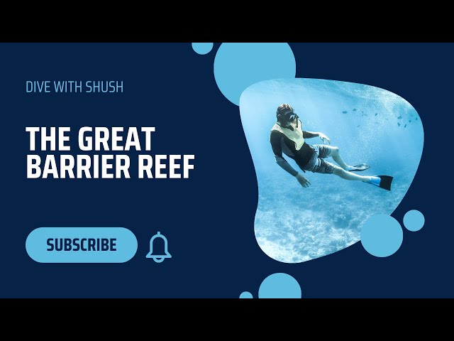 Scuba Diving in Great Barrier Reef 2025