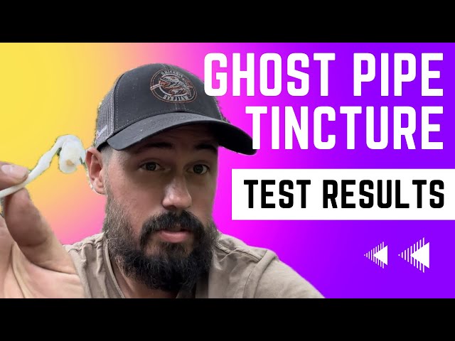 Ghost Pipe: Final Test - Homemade Natural Medicine MAX DOSE! #indianpipe #ghostpipe