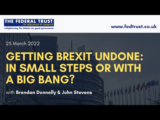 Getting Brexit Undone: In Small Steps or With a Big Bang?