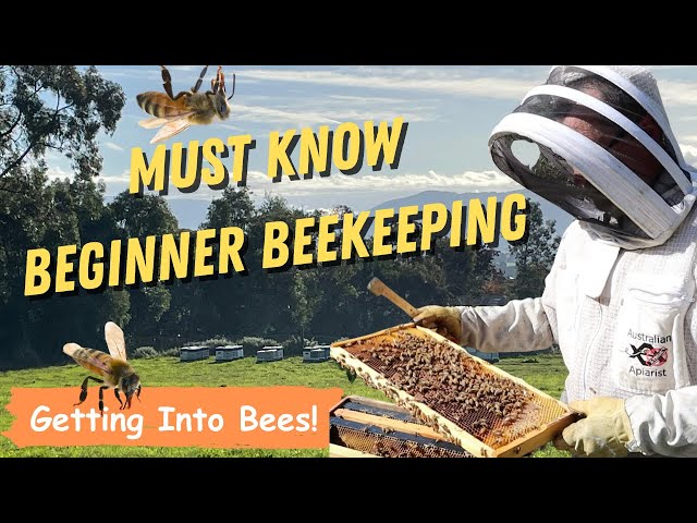 Beekeeping 101: Don't Start Beekeeping Until You Watch This! Essential Equipment for Urban Farm🔥