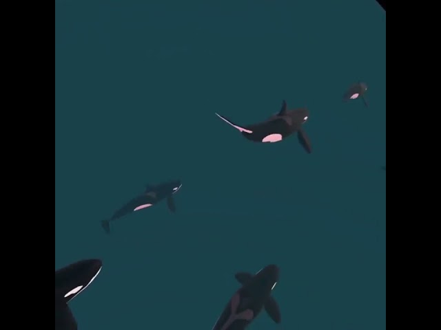 Found in the Fjords - Becoming an Orca