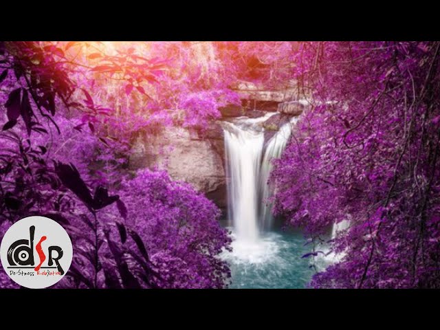 Zen Relaxation Music for Stress Sleep | De-Stress Relaxation | 2021