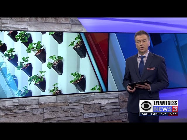 Wyoming lands world’s largest vertical farming research facility