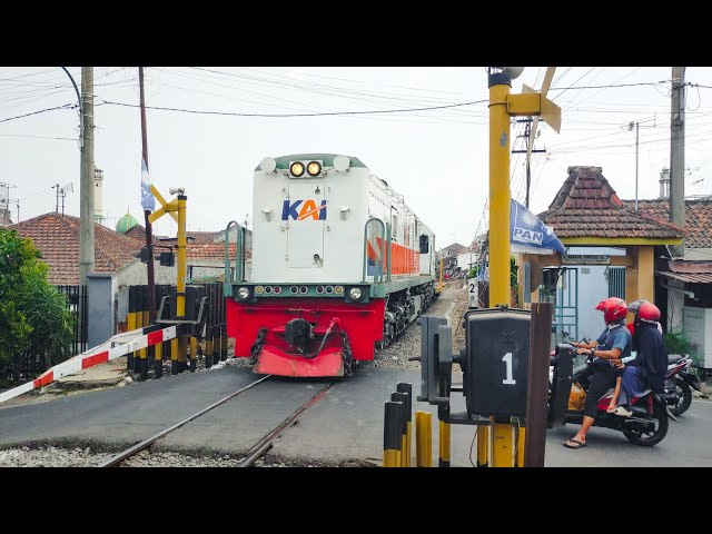 CC 201 77 06 SDT feat KERETA LUAR BIASA KIRIM GERBONG DATAR Lintas Wlingi - Bangil - Sidotopo