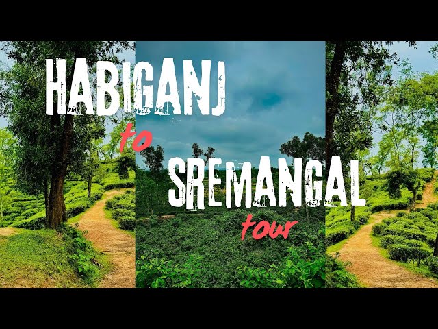 হবিগঞ্জ থেকে  শ্রীমঙ্গল /Habiganj to sreemangal tour