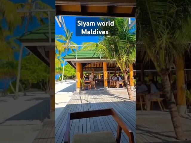 Siyam world Maldives 88264 44647