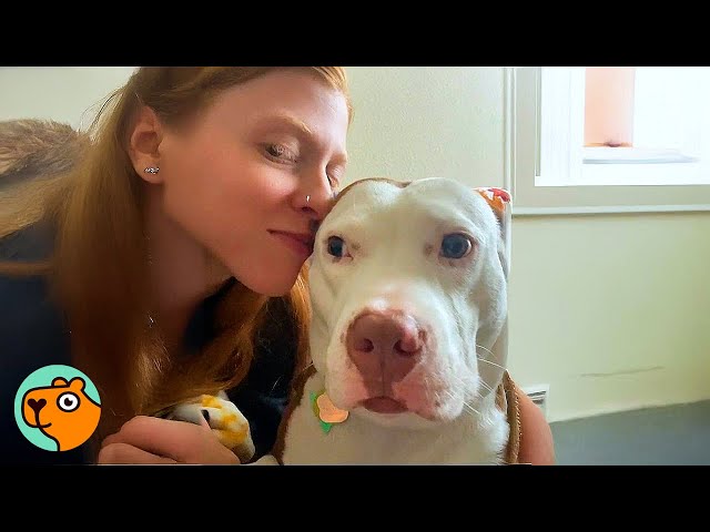 Alone no more | Animal Stories You Can’t Miss