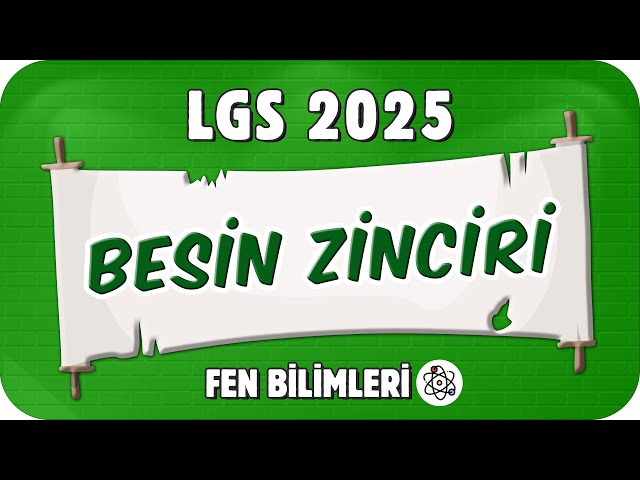 Besin Zinciri 📗 8FEN20 #2025LGS