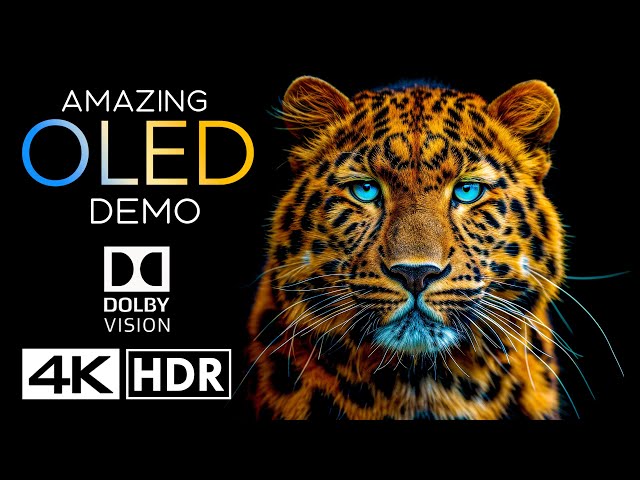 World's Amazing HDR 4K 60fps Dolby Vision (4K Video)