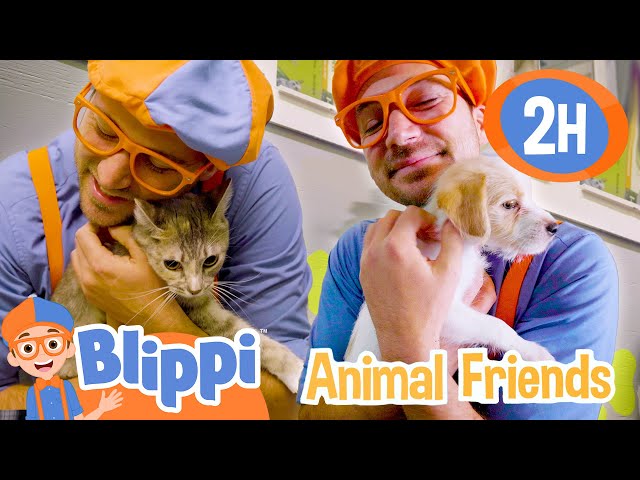 Cute Pets and Animals for Kids with Blippi | 2 Hours of Blippi | Educational Videos for Kids