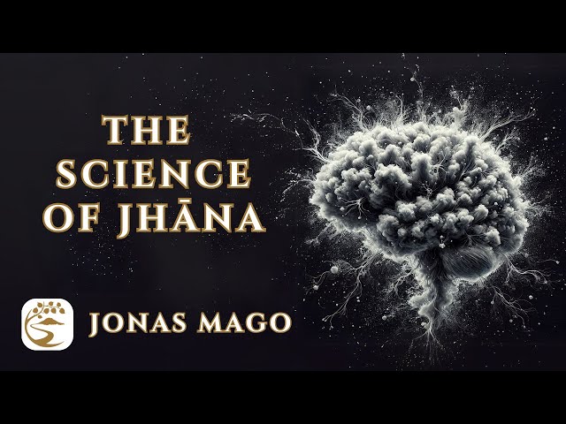 The Neuroscience of Samādhi & the Biofeedback of Bliss | Jonas Mago Q&A