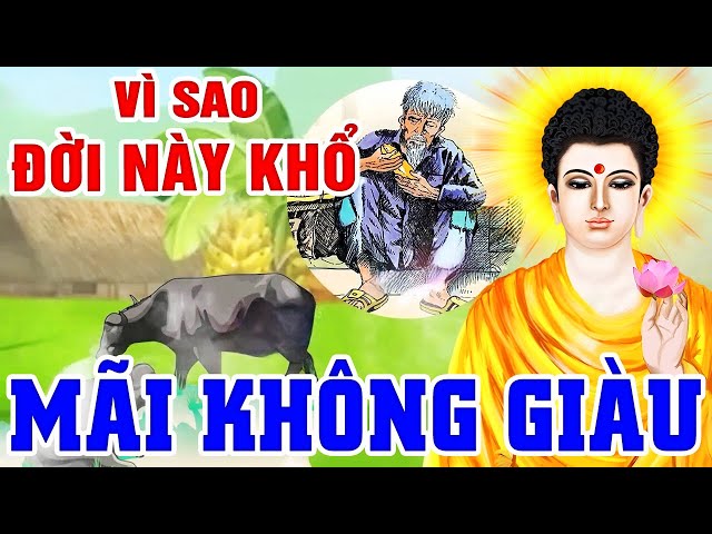 Nhân Quả Báo Ứng Hiện Đời, VÌ SAO ĐỜI NÀY KHỔ MÃI KHÔNG GIÀU - Gieo Nhân Nào Gặt Quả Đó | Truyện