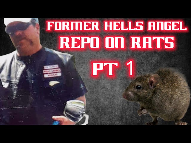 Pt 1 Repo on Rats