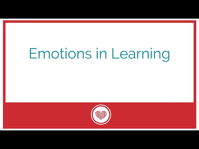 Emotions in Learning