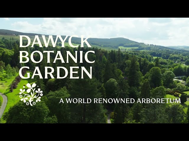 Dawyck Botanic Garden, nr Stobo