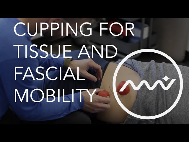 Cupping Therapy / Tissue and Fascial Mobility