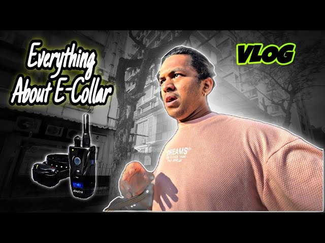 Everything About E-Collar , E-Collar Is Harmful Or Not For Dogs ? Proper Uses | Day - 35 #dog #vlog