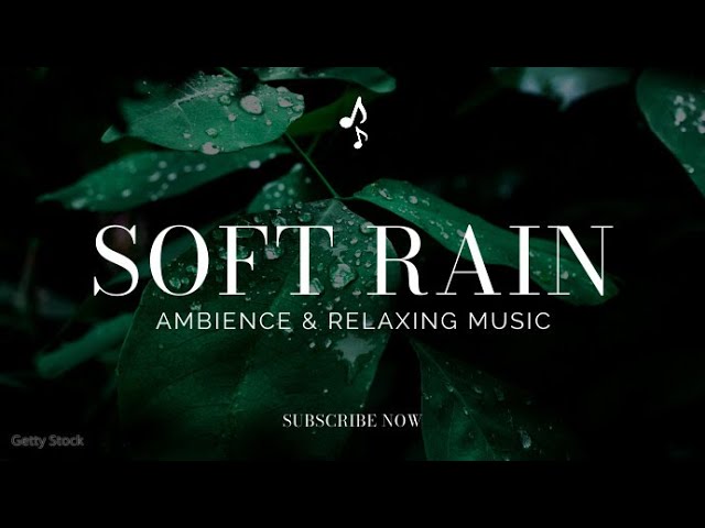 RAIN sleeping 435HZ  Live Stream