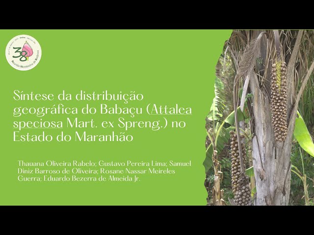 Distribuição geográfica e usos de Attalea speciosa Mart ex Spreng no Maranhão- Apresentações 38ª RNB