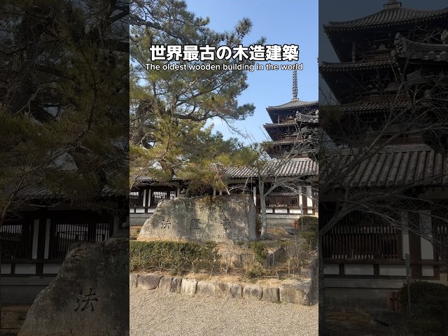 世界最古の木造建築 #nara #temple #法隆寺