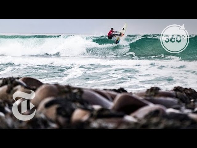 On an Arctic Surf Beach | The Daily 360 | The New York Times