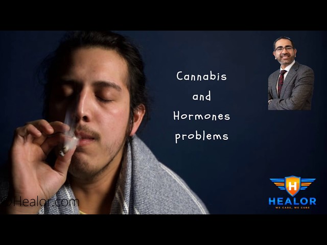 Cannabis is bad for your Hormone Health.