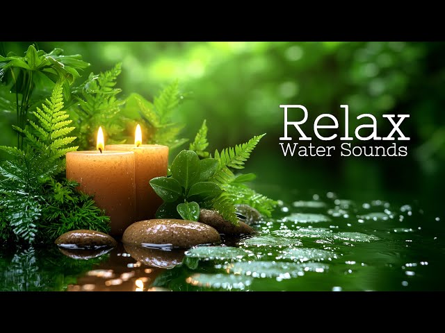 Peaceful night 🌿 Relaxing Sleep Music • Fall Asleep Quickly • Relaxiation