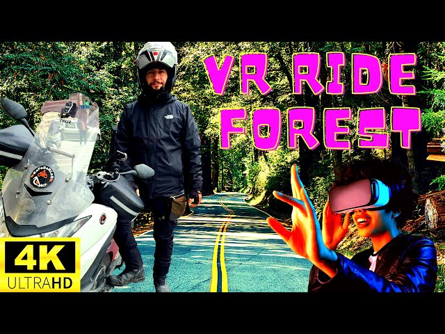 Jump Into This Insane 360° VR Forest Road! #motovlog #insta360x3