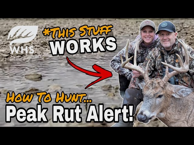 How To Hunt The Peak Rut Weather Forecast