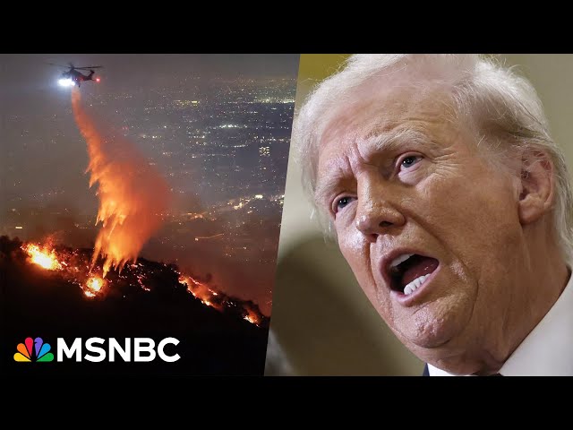 Catastrophic California wildfires too big a crisis for small man, Donald Trump