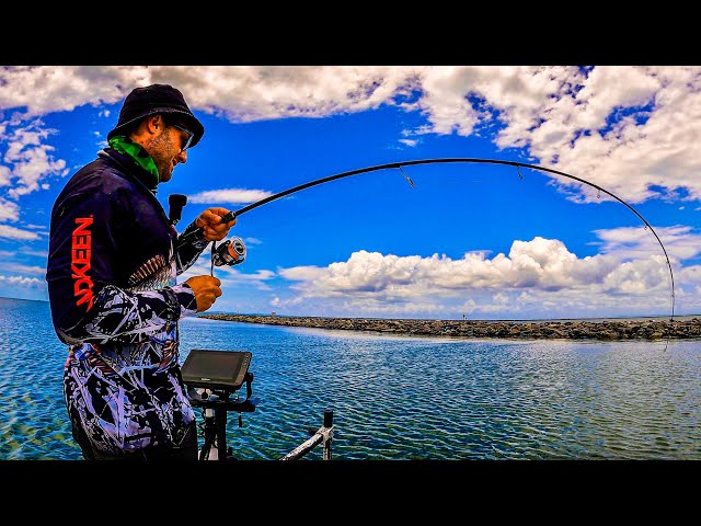 THAT WAS UNEXPECTED| Port of Brisbane Fishing