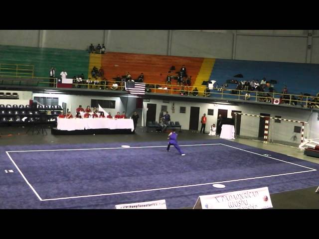 10th Pan American Wushu Championships Men's Nanquan - 3rd Set - Anthony Chen (Silver)