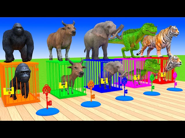 5 Giant Duck Cartoon,Cow,Elephant,Tiger,Lion,Dinosaur,Paint Wild Animals Crossing Fountain Animation