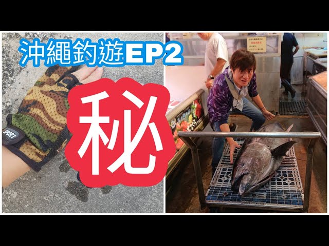 Okinawa日本沖繩旅遊釣魚竟被關在漁港內(遇見黑鮪魚/釣獲極黑生物/龍蝦)EP2