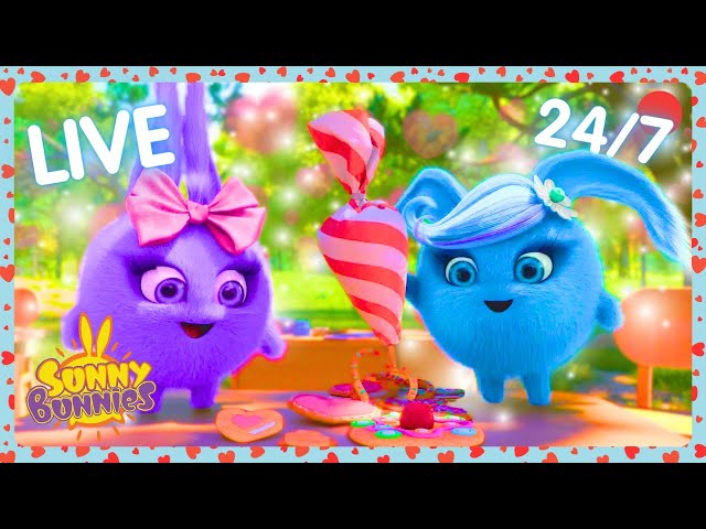 SUNNY BUNNIES  24/7 LIVE STREAM 🩷 HAPPY VALENTINES DAY 🩷 | WildBrain Bananas