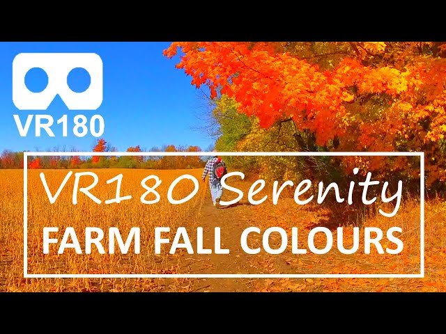 VR180 Serenity: Farm Fall Colours. 10 Minutes of Autumn in Virtual Reality