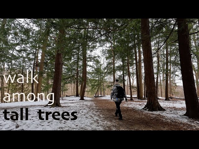 Rouge National Urban Park, Mast Trail