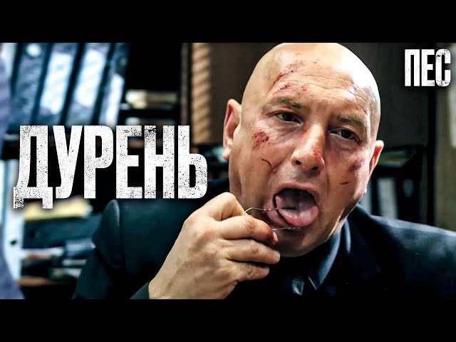 🎬 С УМА СОШЕЛ - Смешной ДЕТЕКТИВ 2024 - Сериал ПЕС 2024 - Лучшие серии