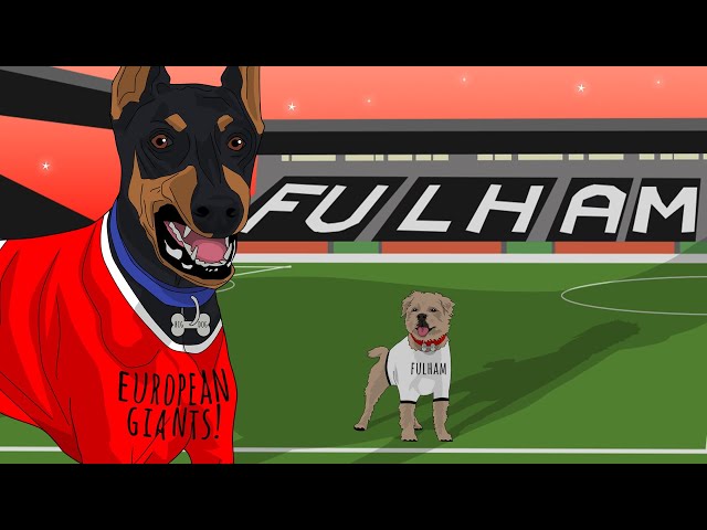 When Underdogs Fulham Nearly Won The Europa League