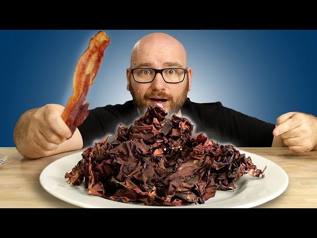 This Seaweed TASTES LIKE BACON