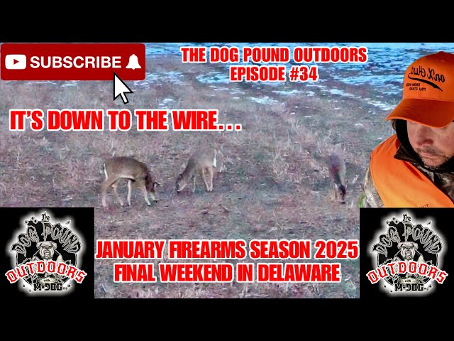 FINAL HUNT Of The ‘24-‘25 WHITETAIL DEER SEASON In DELAWARE!