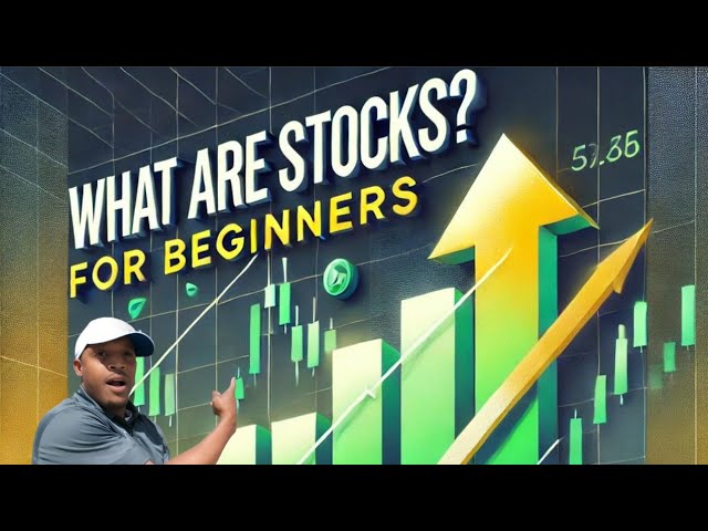 What are Stocks?  For Beginners #Coach_Hen