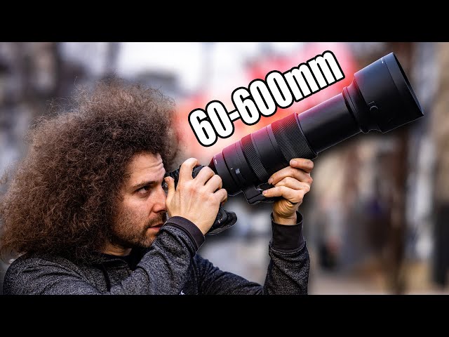 Sigma 60-600 MIRRORLESS Lens REVIEW vs Sigma 150-600 | BEST Wildlife / Sports lens for $2,000?