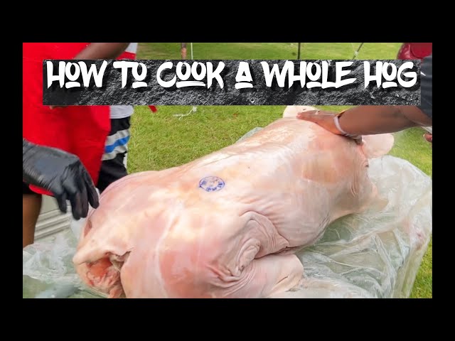 Whole Hog - How to Cook a whole hog