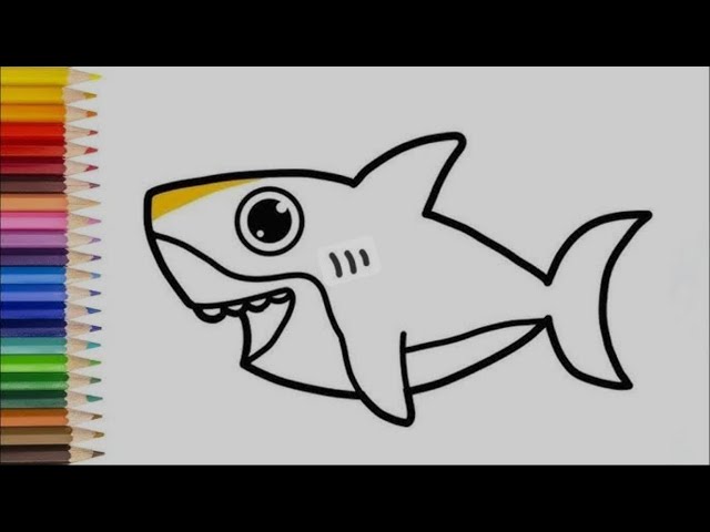 How to draw baby shark 🦈 step by step drawing and colouring