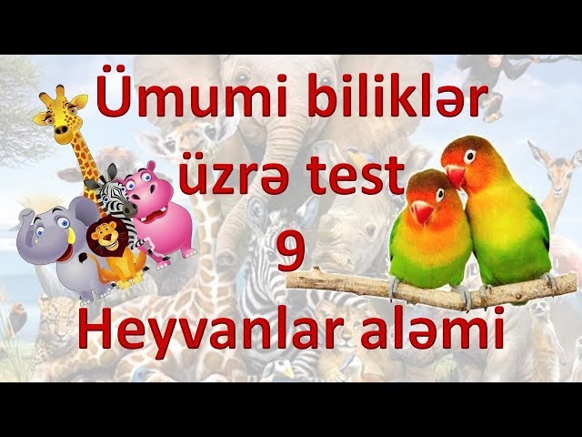 Ümumi biliklər üzrə test - 9 - Heyvanlar aləmi