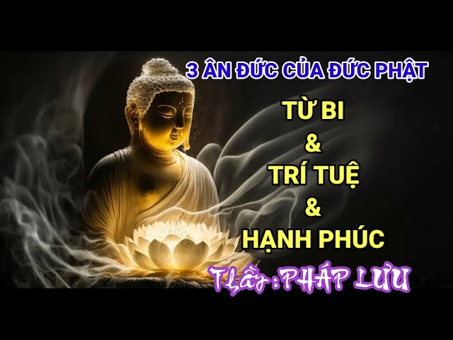 "The Virtues of Compassion & Wisdom & Happiness: The Three Virtues of the Buddha (Teacher Phap Luu)"