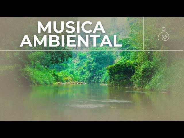 🌿Música Ambiental 2024 / Libera El Estrés Y la Ansiedad /🌿